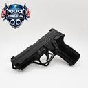 SIG SAUER P22R DAK PISTOL